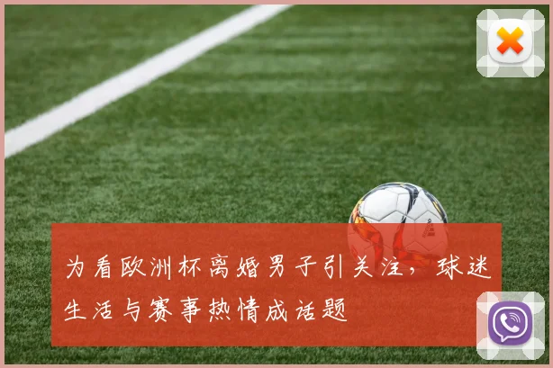 为看欧洲杯离婚男子引关注,球迷生活与赛事热情成话题