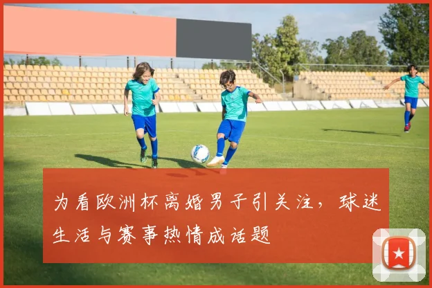 为看欧洲杯离婚男子引关注,球迷生活与赛事热情成话题