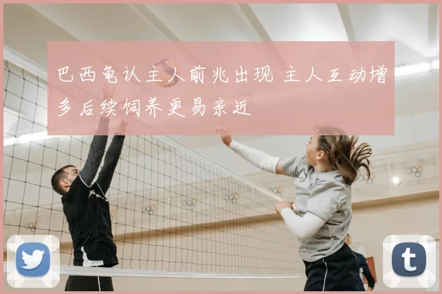 巴西龟认主人前兆出现 主人互动增多后续饲养更易亲近