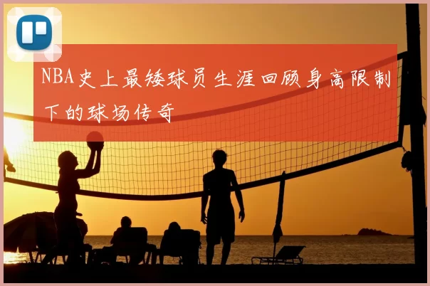NBA史上最矮球员生涯回顾身高限制下的球场传奇