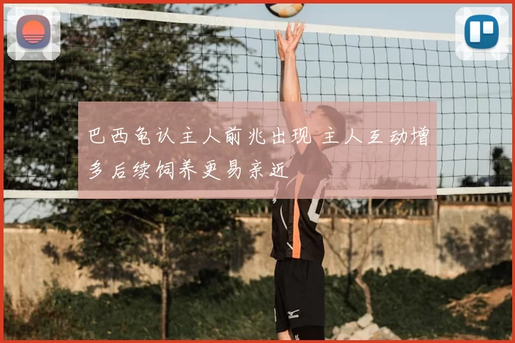 巴西龟认主人前兆出现 主人互动增多后续饲养更易亲近